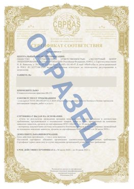 Образец Сертификат СТО 01.064.00220722.2-2020 Старая Купавна Сертификат СТО 01.064.00220722.2-2020 